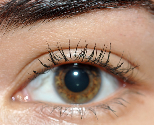 CoverGirl Lash Blast Fusion Mascara