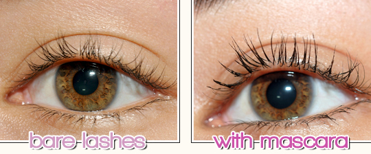 CoverGirl Lash Blast Fusion Mascara