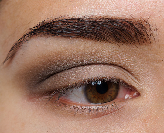 Chanel Premier Regard Eyeshadow Quad