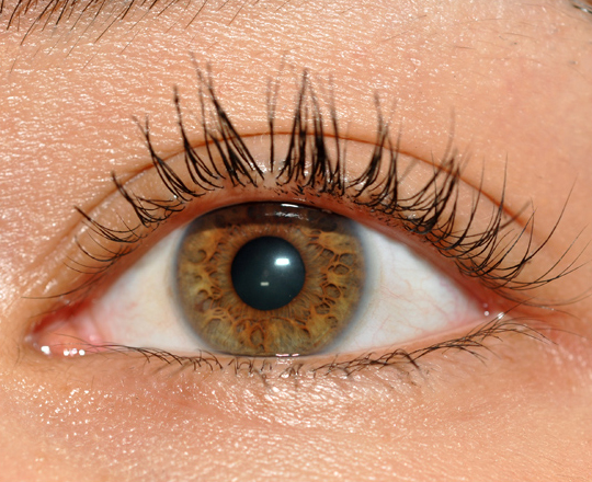 MAC False Lashes Mascara