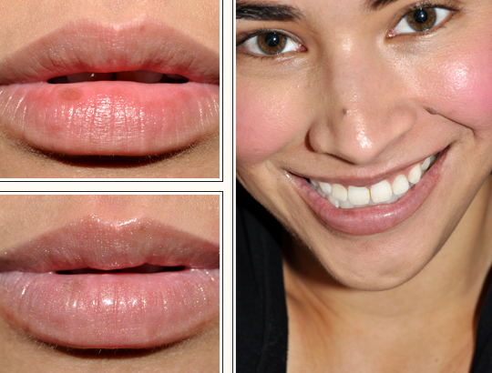 MAC Tartan Tale:  Happily Ever After Lip Kit