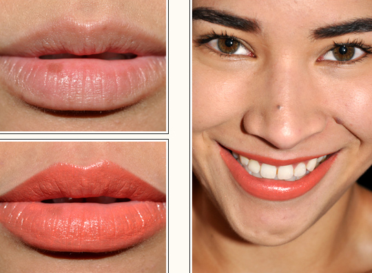 Bobbi Brown Lip Shines