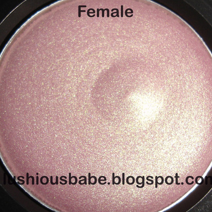 MAC Cosmetics | Colour Forms Swatches