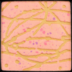 MAC In the Abstract Art of Powder Highlighter