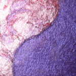 MAC Pink Union Mineralize Eyeshadow Duo