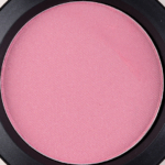 MAC Endless Passion Pro Longwear Eyeshadow