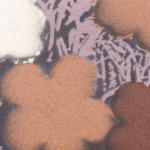 NARS Flowers 3 Andy Warhol Eyeshadow Palette
