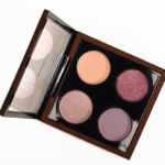MAC Temperature Rising Eyeshadow Quad