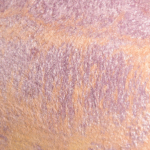 MAC Dare to Bare Mineralize Eyeshadow