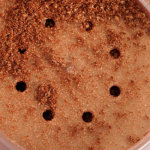 Maybelline Breaking Bronze Color Tattoo Pure Pigments