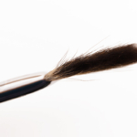 Sephora Pro Fan Brush (#65) 