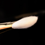 Tom Ford Beauty Eyeshadow (11) Brush 