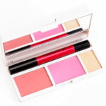 Urban Decay Anarchy Face Case