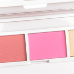 Urban Decay Anarchy Face Case