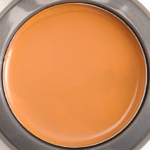 Cover FX N80 Total Cover Cream
