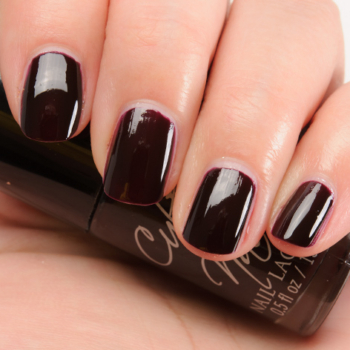 Chanel Rouge Noir (18) Le Vernis Nail Colour Dupes & Swatch Comparisons