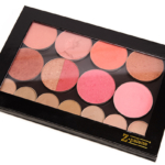 Z Palette Pro Palette 