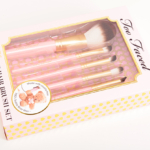 Too Faced Teddy Bear Brush Set 