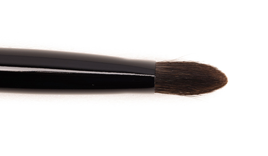 Chikuhodo Z-5 Eyeshadow Brush  