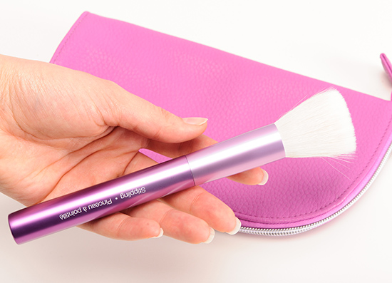 Sephora + Pantone Universe Color Gaze Brush Set