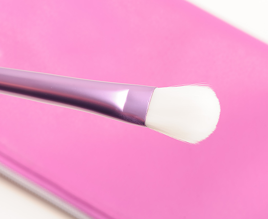 Sephora + Pantone Universe Color Gaze Brush Set