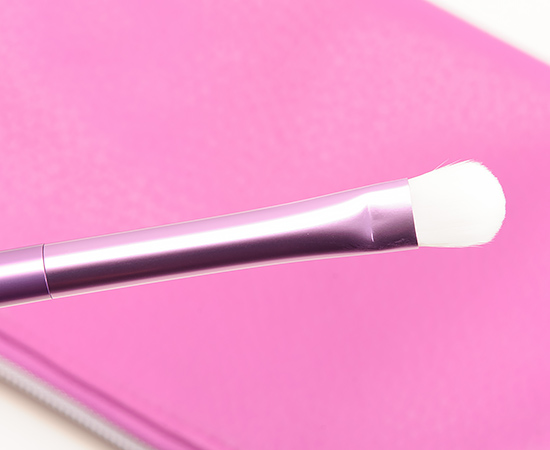 Sephora + Pantone Universe Color Gaze Brush Set