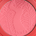 Tarte Fearless Amazonian Clay 12-Hour Blush