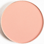 Make Up For Ever M810 Flesh-Colored Pink Artist Shadow (Discontinued)