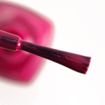 Chanel Desirio (643) Le Vernis Nail Colour