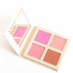 palette