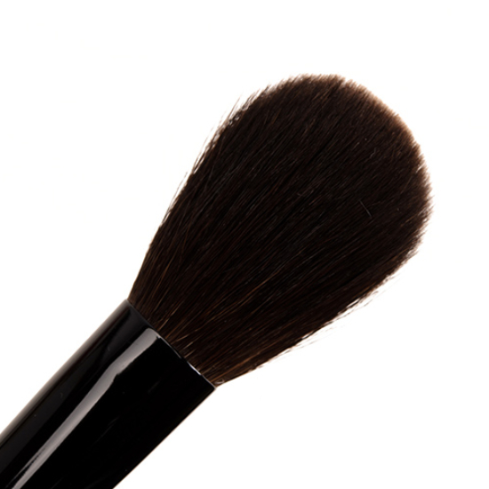 Best Highlighter Brushes (2022) Editor's Picks Temptalia