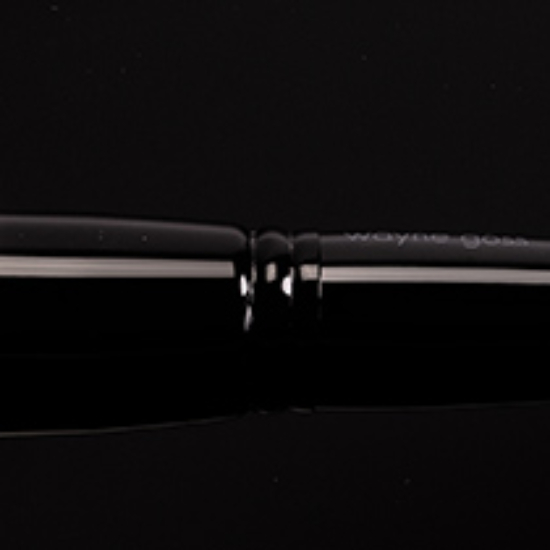 Wayne Goss The Holiday Brush