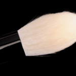 Wayne Goss The Holiday Brush 