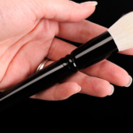 Wayne Goss The Holiday Brush 