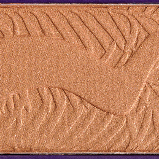 Tarte Amazonian Clay Mineral Bronzer Park Ave Princess