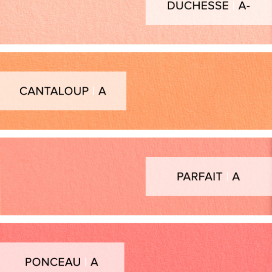 Surratt Beauty Artistique Blush
