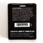 Buxom Schmooze Eyeshadow