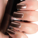 Chanel Terrana (697) Le Vernis Nail Colour