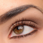 Too Faced Natural Matte Eye Shadow Collection