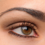 Too Faced Natural Matte Eye Shadow Collection