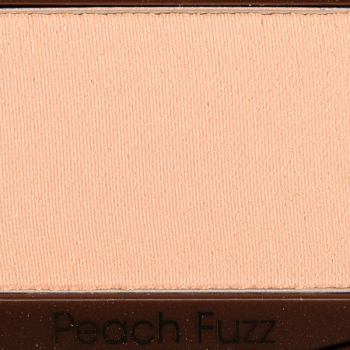 Too Faced Peach Fuzz Eyeshadow