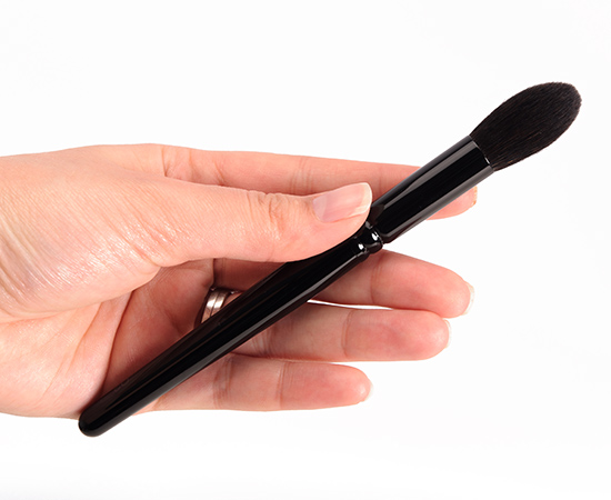 Wayne Goss Brush 02