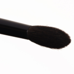 Wayne Goss Brush 03 