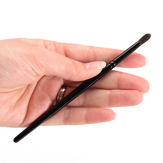 Wayne Goss Brush 05