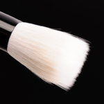 Wayne Goss Brush 10 