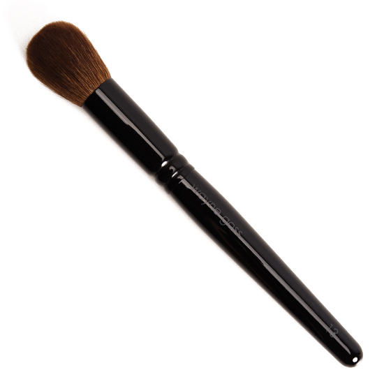 Wayne Goss Brush 13