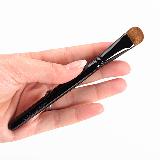 Wayne Goss Brush 17
