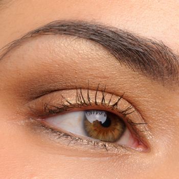 Too Faced Holiday 2015 Christmas in Paris Palette