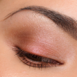 Dior Blazing Gold (886) State of Gold Eyeshadow Palette (Holiday 2015)