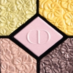 Dior Rose Garden (451) Glowing Gardens Eyeshadow Palette